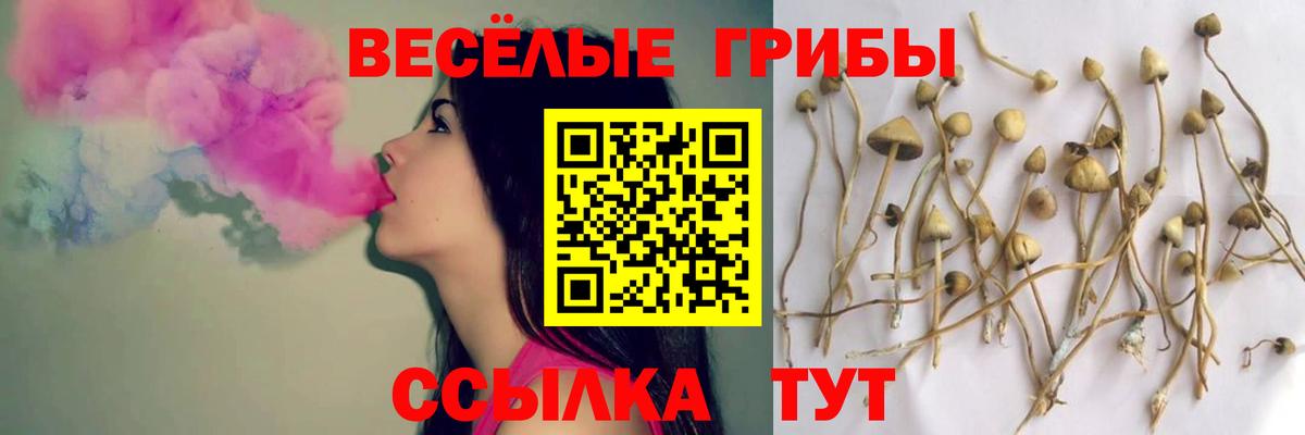 наркошоп  Псилоцибиновые грибы прущие грибы  Вход с VPN  Александров 