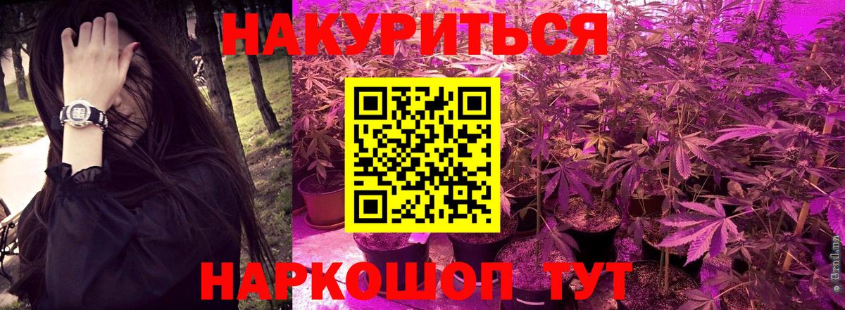 Бошки марихуана планчик  Канабис Bruce Banner  Александров  Вход с VPN 